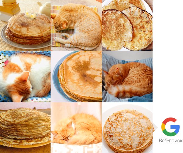 puppy or bagel meme compilation puppy or bagel 176 verenas welt 176 176 verenas welt 176 puppy or bagel meme compilation puppy or bagel 176 verenas welt 176 176 verenas welt 176