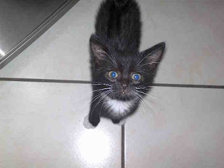 Lenny