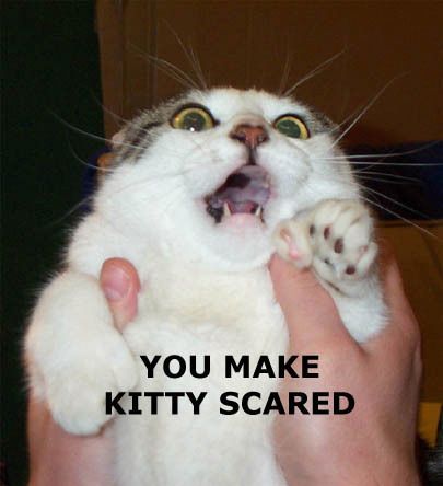 It’s Caturday!