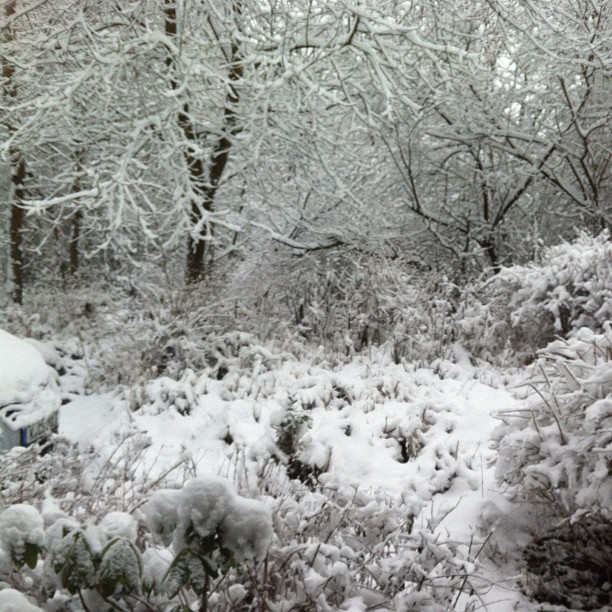 Snow hey-ho