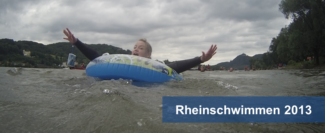 Rheinschwimmen 2013
