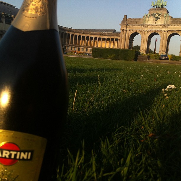 Picknick in Brüssel