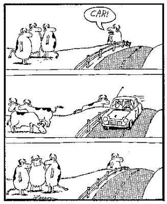 The Far Side